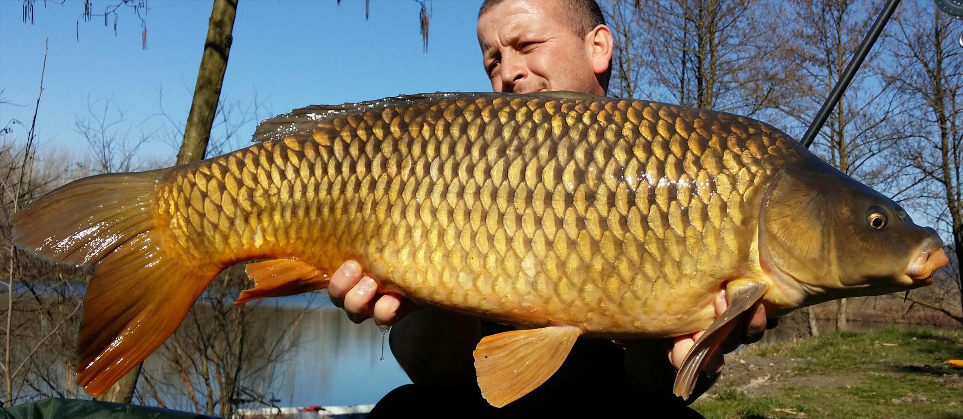 Lago Boschetto 7 - 10 martie 2016 - 20160310144942-1-1.jpg